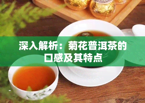 深入解析：菊花普洱茶的口感及其特点