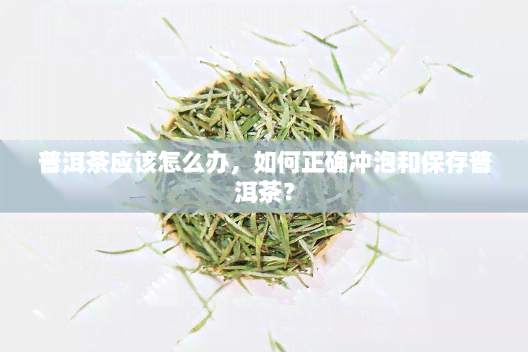 普洱茶应该怎么办，如何正确冲泡和保存普洱茶？