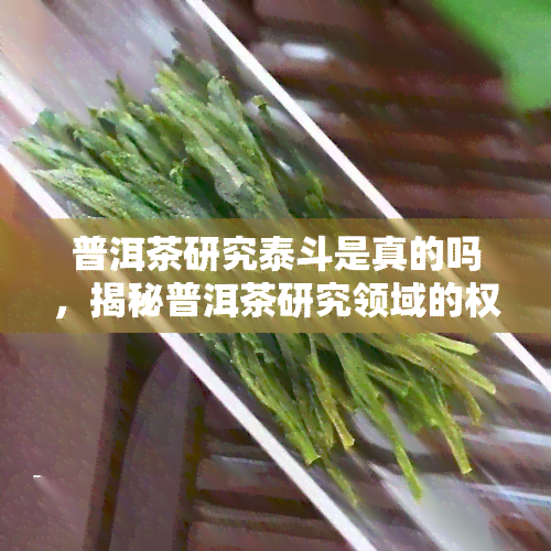 普洱茶研究泰斗是真的吗，揭秘普洱茶研究领域的权威：他是否真的堪称泰斗？