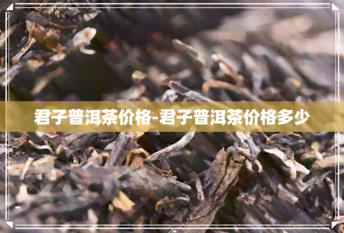 君子普洱茶价格-君子普洱茶价格多少