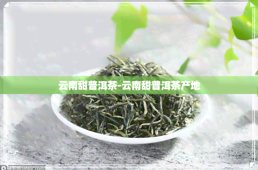 云南甜普洱茶-云南甜普洱茶产地