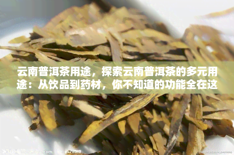 云南普洱茶用途，探索云南普洱茶的多元用途：从饮品到药材，你不知道的功能全在这里！