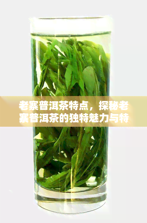 老寨普洱茶特点，探秘老寨普洱茶的独特魅力与特点