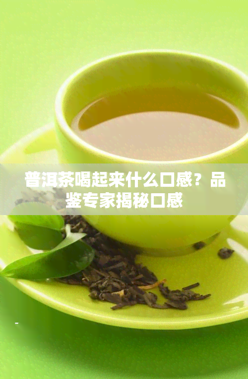 普洱茶喝起来什么口感？品鉴专家揭秘口感