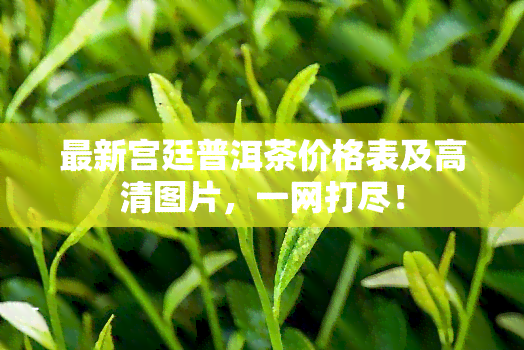 最新宫廷普洱茶价格表及高清图片，一网打尽！