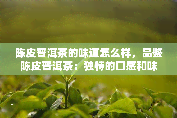 陈皮普洱茶的味道怎么样，品鉴陈皮普洱茶：独特的口感和味道体验