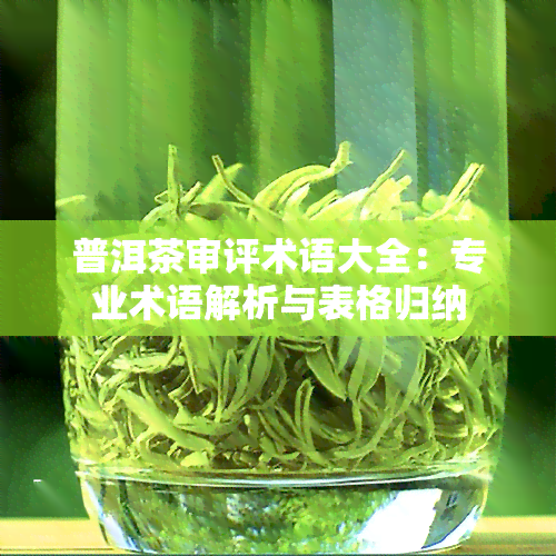 普洱茶审评术语大全：专业术语解析与表格归纳