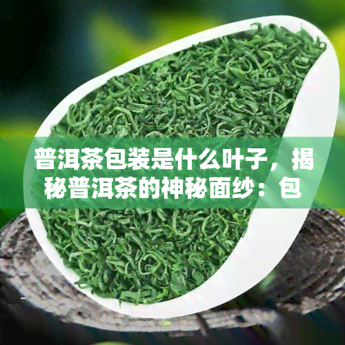 普洱茶包装是什么叶子，揭秘普洱茶的神秘面纱：包装叶子究竟是什么？