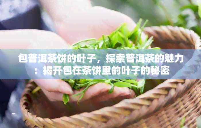 包普洱茶饼的叶子，探索普洱茶的魅力：揭开包在茶饼里的叶子的秘密