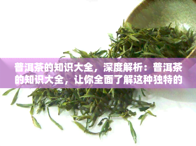 普洱茶的知识大全，深度解析：普洱茶的知识大全，让你全面了解这种独特的茶叶