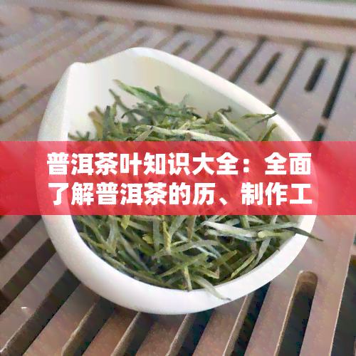 普洱茶叶知识大全：全面了解普洱茶的历、制作工艺、品鉴方法等，附高清图片与视频教程