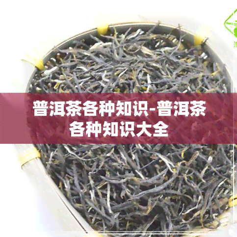 普洱茶各种知识-普洱茶各种知识大全