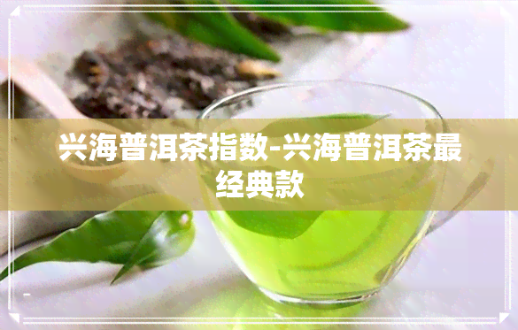 兴海普洱茶指数-兴海普洱茶最经典款