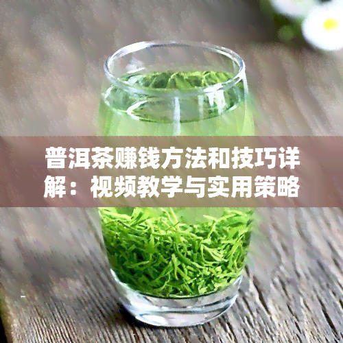 普洱茶赚钱方法和技巧详解：视频教学与实用策略