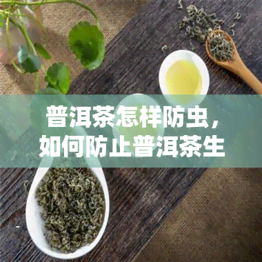 普洱茶怎样防虫，如何防止普洱茶生虫？有效方法大揭秘！