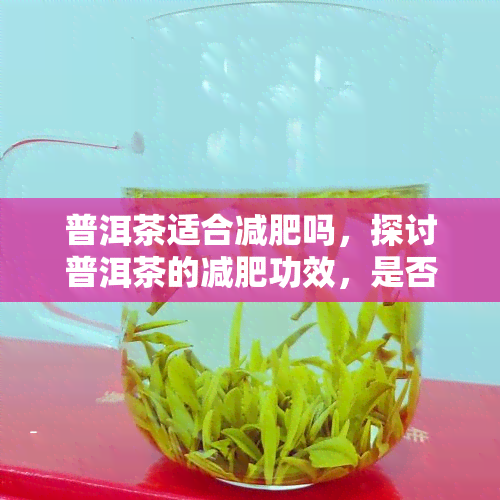 普洱茶适合减肥吗，探讨普洱茶的减肥功效，是否真的有效？