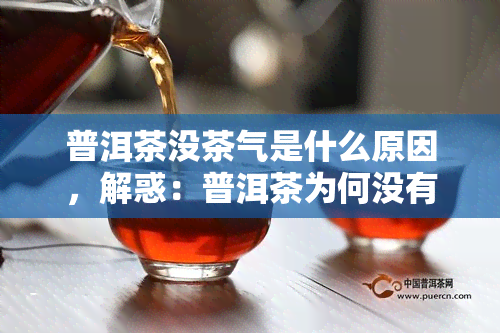 普洱茶没茶气是什么原因，解惑：普洱茶为何没有茶气？