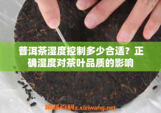 普洱茶湿度控制多少合适？正确湿度对茶叶品质的影响