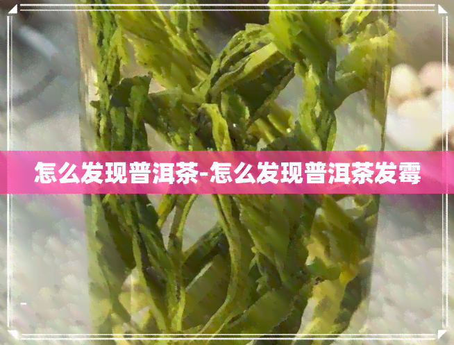 怎么发现普洱茶-怎么发现普洱茶发霉