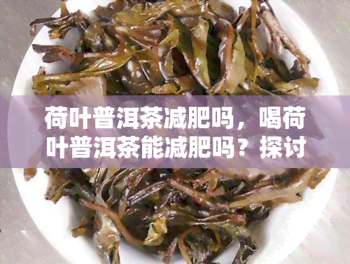 荷叶普洱茶减肥吗，喝荷叶普洱茶能减肥吗？探讨其科学依据与效果