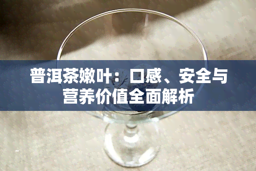 普洱茶嫩叶：口感、安全与营养价值全面解析