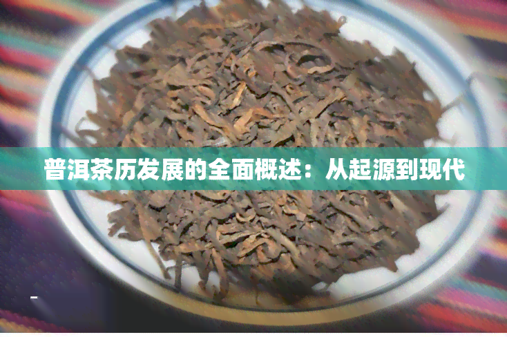 普洱茶历发展的全面概述：从起源到现代