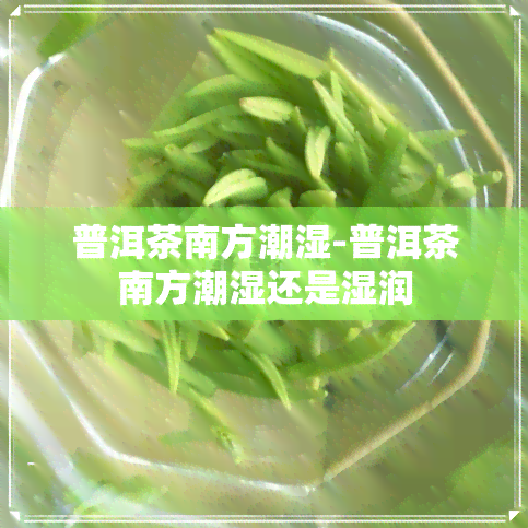 普洱茶南方潮湿-普洱茶南方潮湿还是湿润