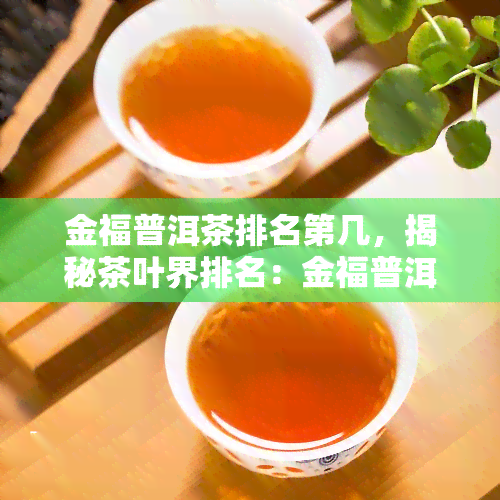 金福普洱茶排名第几，揭秘茶叶界排名：金福普洱茶究竟位列何方？