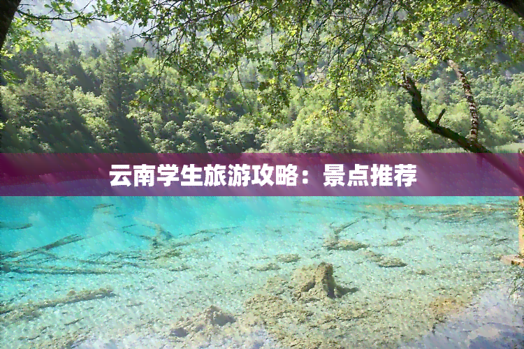 云南学生旅游攻略：景点推荐