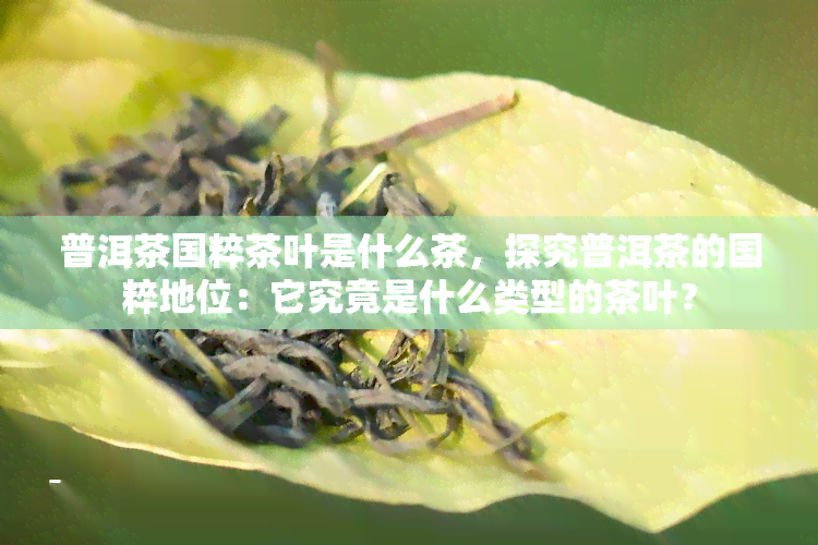 普洱茶国粹茶叶是什么茶，探究普洱茶的国粹地位：它究竟是什么类型的茶叶？