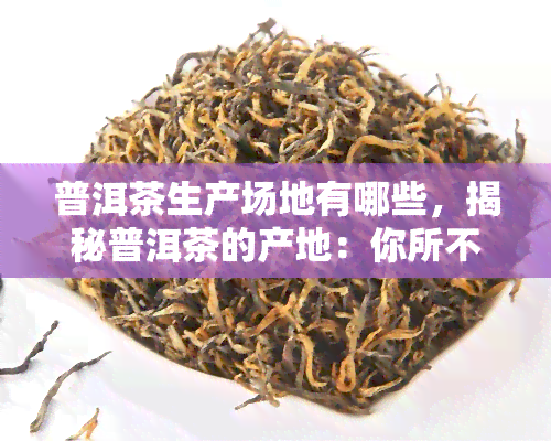 普洱茶生产场地有哪些，揭秘普洱茶的产地：你所不知道的生产场地