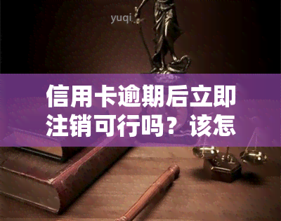 信用卡逾期后立即注销可行吗？该怎么做？