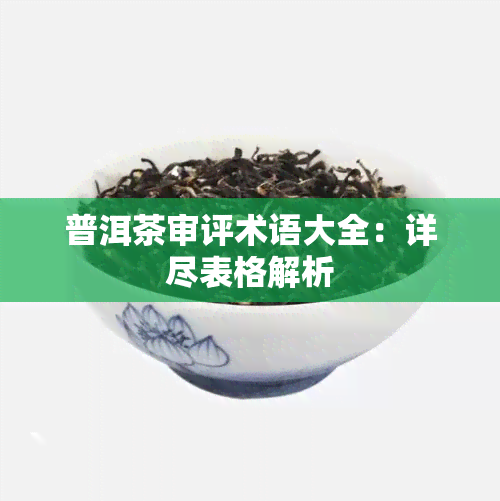 普洱茶审评术语大全：详尽表格解析