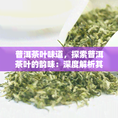 普洱茶叶味道，探索普洱茶叶的韵味：深度解析其独特口感和风味