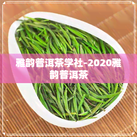 雅韵普洱茶学社-2020雅韵普洱茶