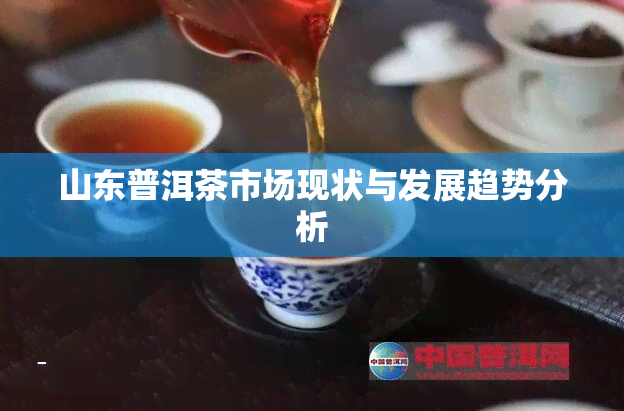 山东普洱茶市场现状与发展趋势分析