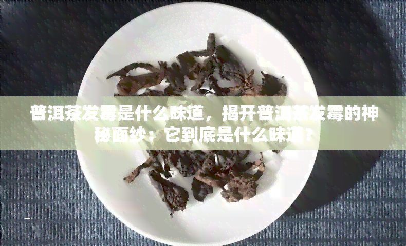 普洱茶发霉是什么味道，揭开普洱茶发霉的神秘面纱：它到底是什么味道？