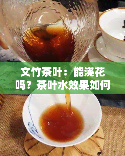 文竹茶叶：能浇花吗？茶叶水效果如何？