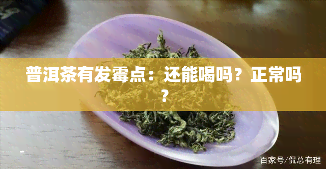 普洱茶有发霉点：还能喝吗？正常吗？