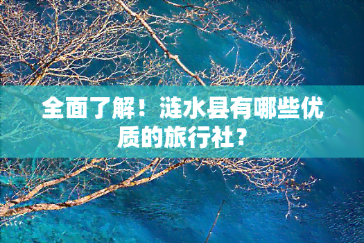 全面了解！涟水县有哪些优质的旅行社？