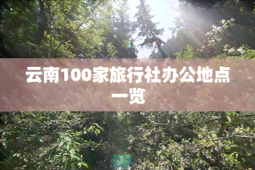 云南100家旅行社办公地点一览