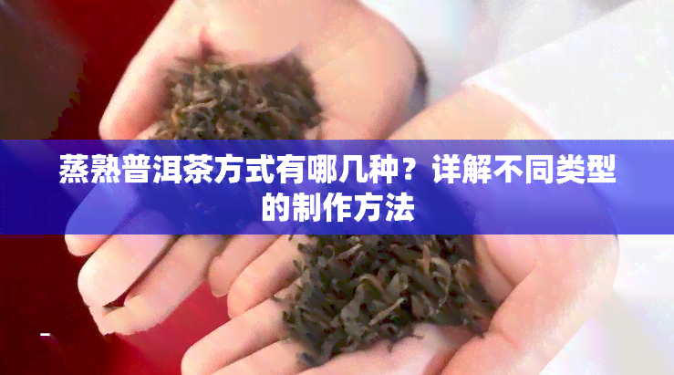 蒸熟普洱茶方式有哪几种？详解不同类型的制作方法