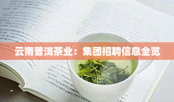 云南普洱茶业：集团招聘信息全览