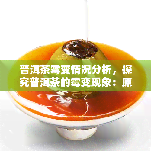 普洱茶霉变情况分析，探究普洱茶的霉变现象：原因、影响及预防措