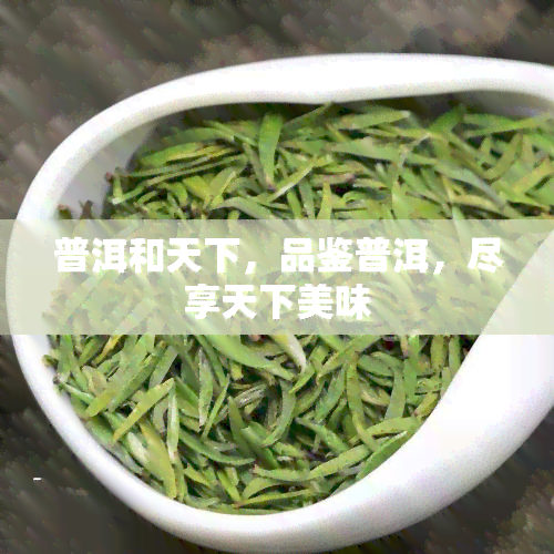 普洱和天下，品鉴普洱，尽享天下美味