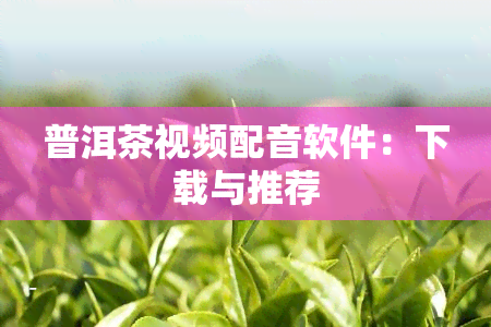 普洱茶视频配音软件：下载与推荐