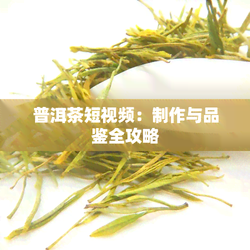 普洱茶短视频：制作与品鉴全攻略