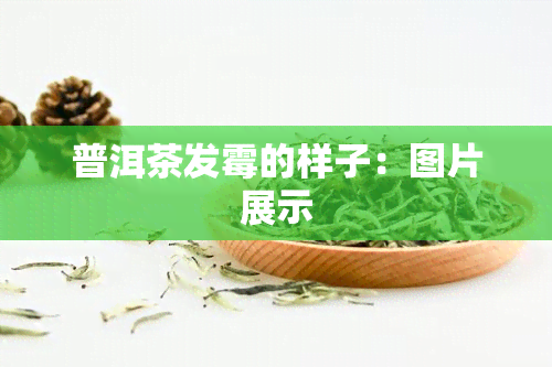 普洱茶发霉的样子：图片展示