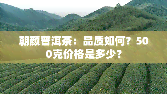 朝颜普洱茶：品质如何？500克价格是多少？