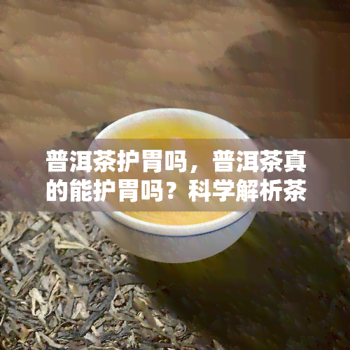 普洱茶护胃吗，普洱茶真的能护胃吗？科学解析茶叶的保健功效